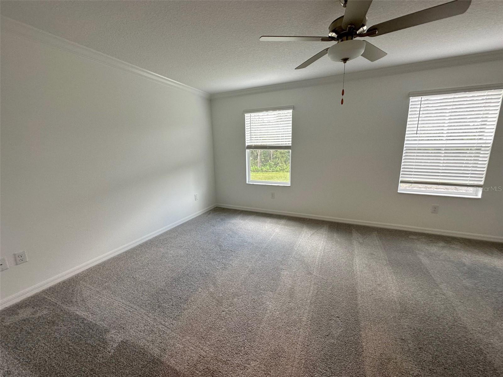 17596 NECTAR FLUME DR, LAND O LAKES, FL, 34638