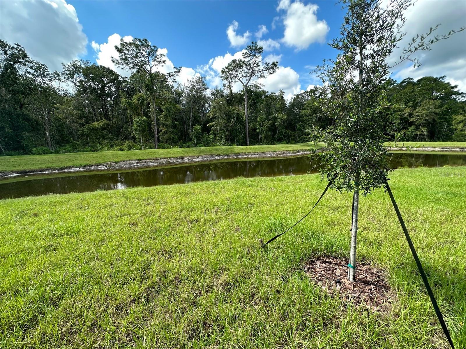 17596 NECTAR FLUME DR, LAND O LAKES, FL, 34638