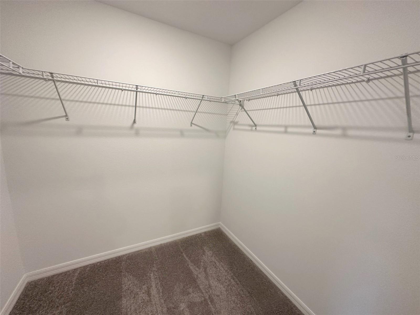 17596 NECTAR FLUME DR, LAND O LAKES, FL, 34638