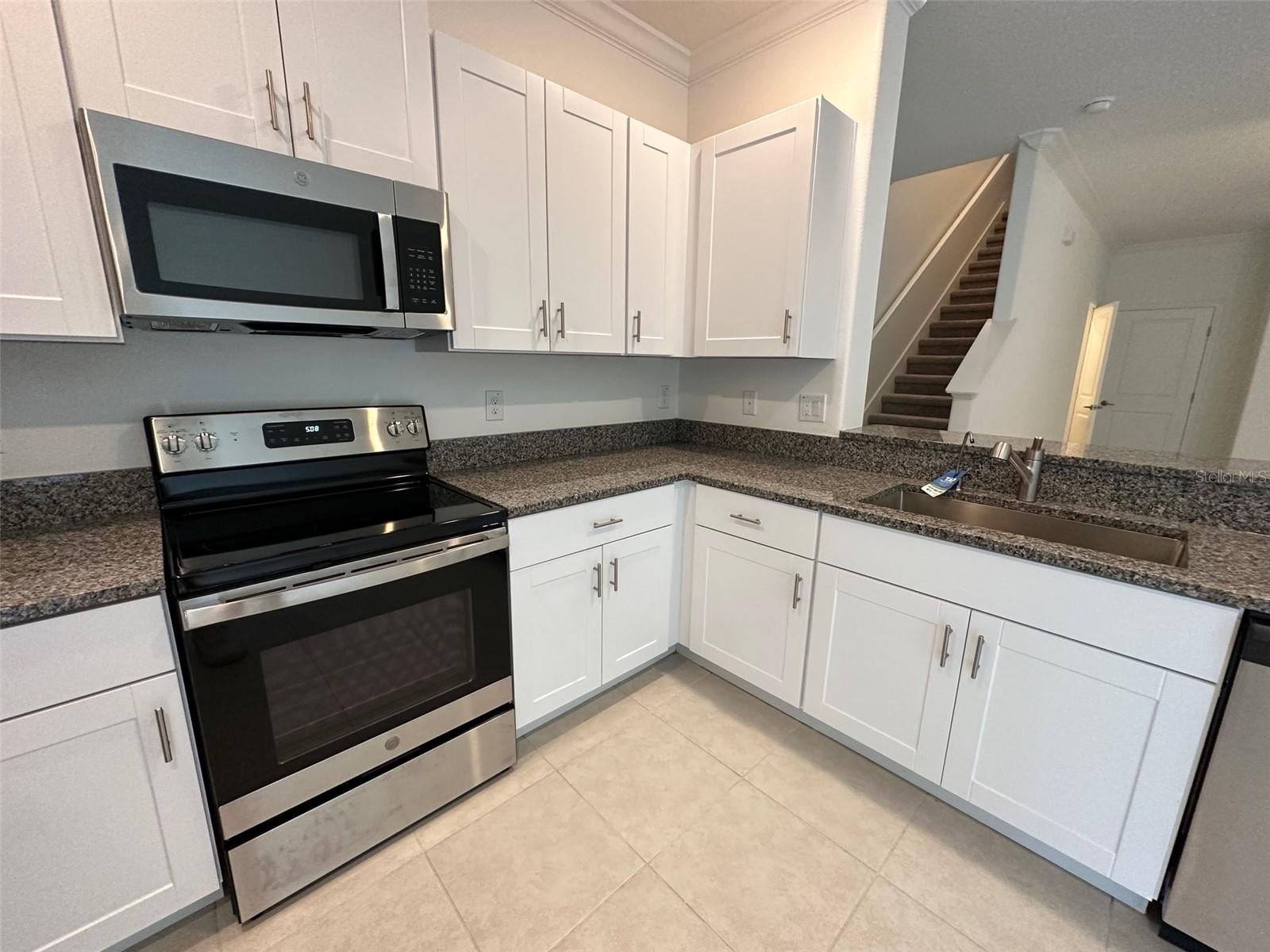 17596 NECTAR FLUME DR, LAND O LAKES, FL, 34638