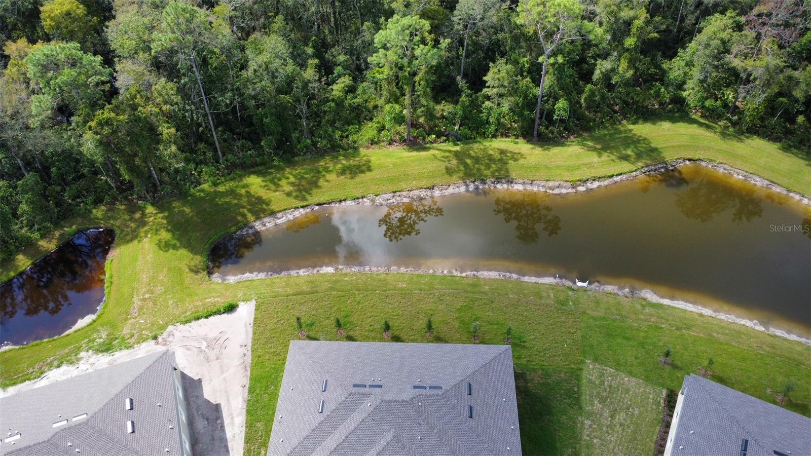 17596 NECTAR FLUME DR, LAND O LAKES, FL, 34638