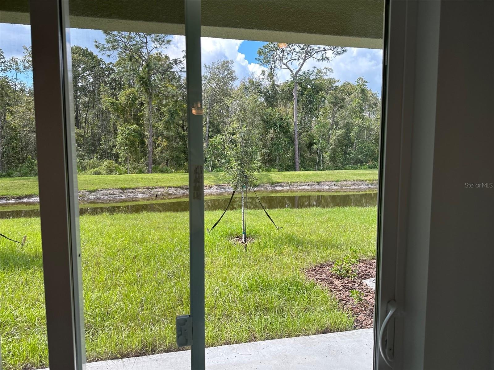 17596 NECTAR FLUME DR, LAND O LAKES, FL, 34638
