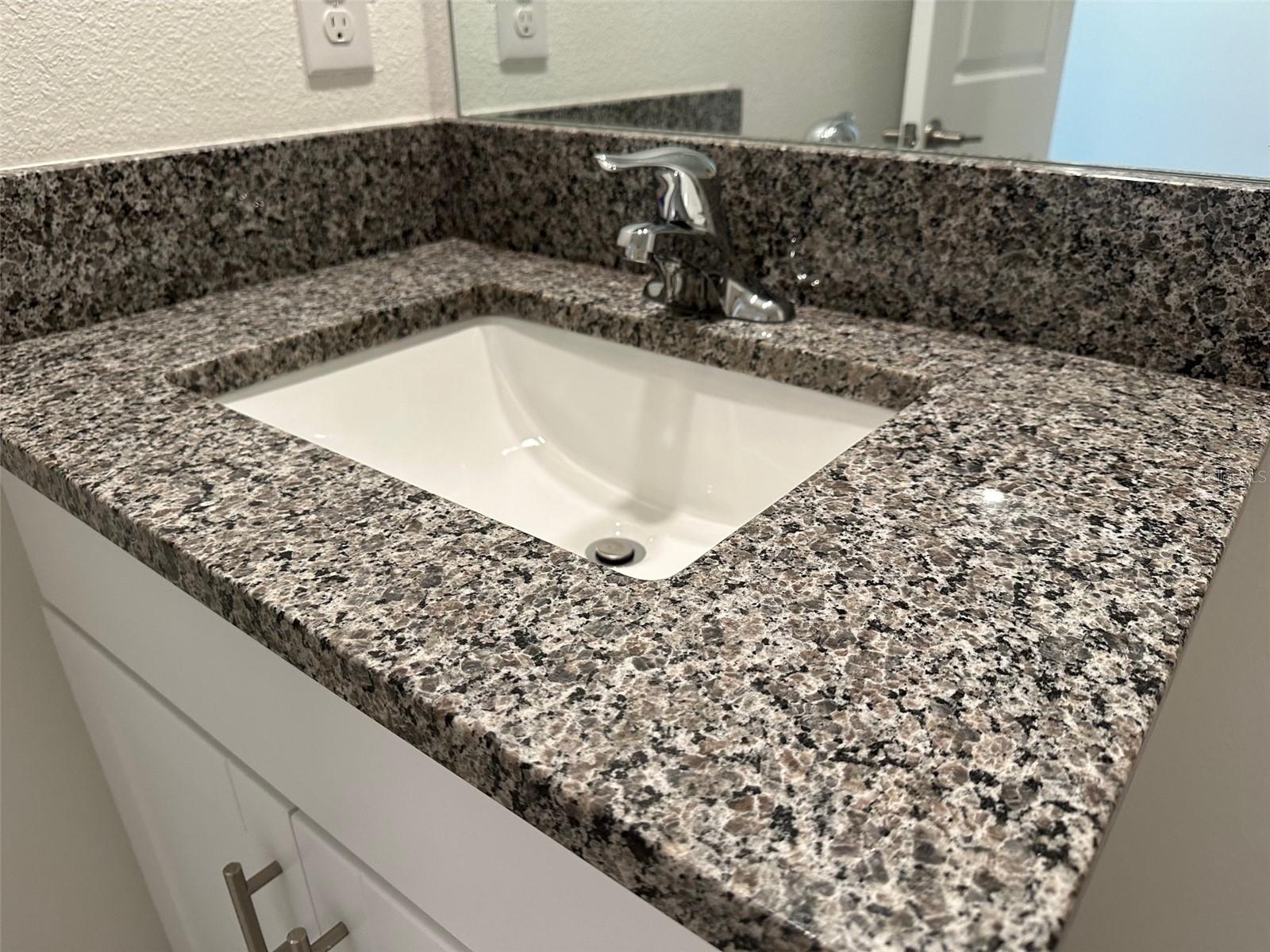 17596 NECTAR FLUME DR, LAND O LAKES, FL, 34638