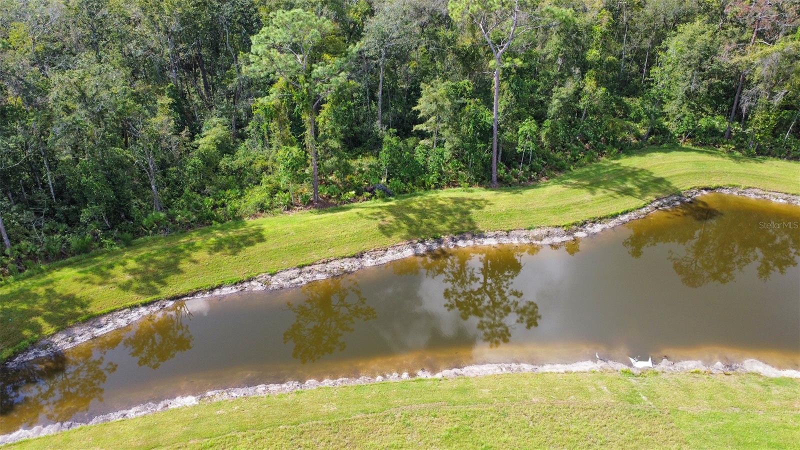 17596 NECTAR FLUME DR, LAND O LAKES, FL, 34638