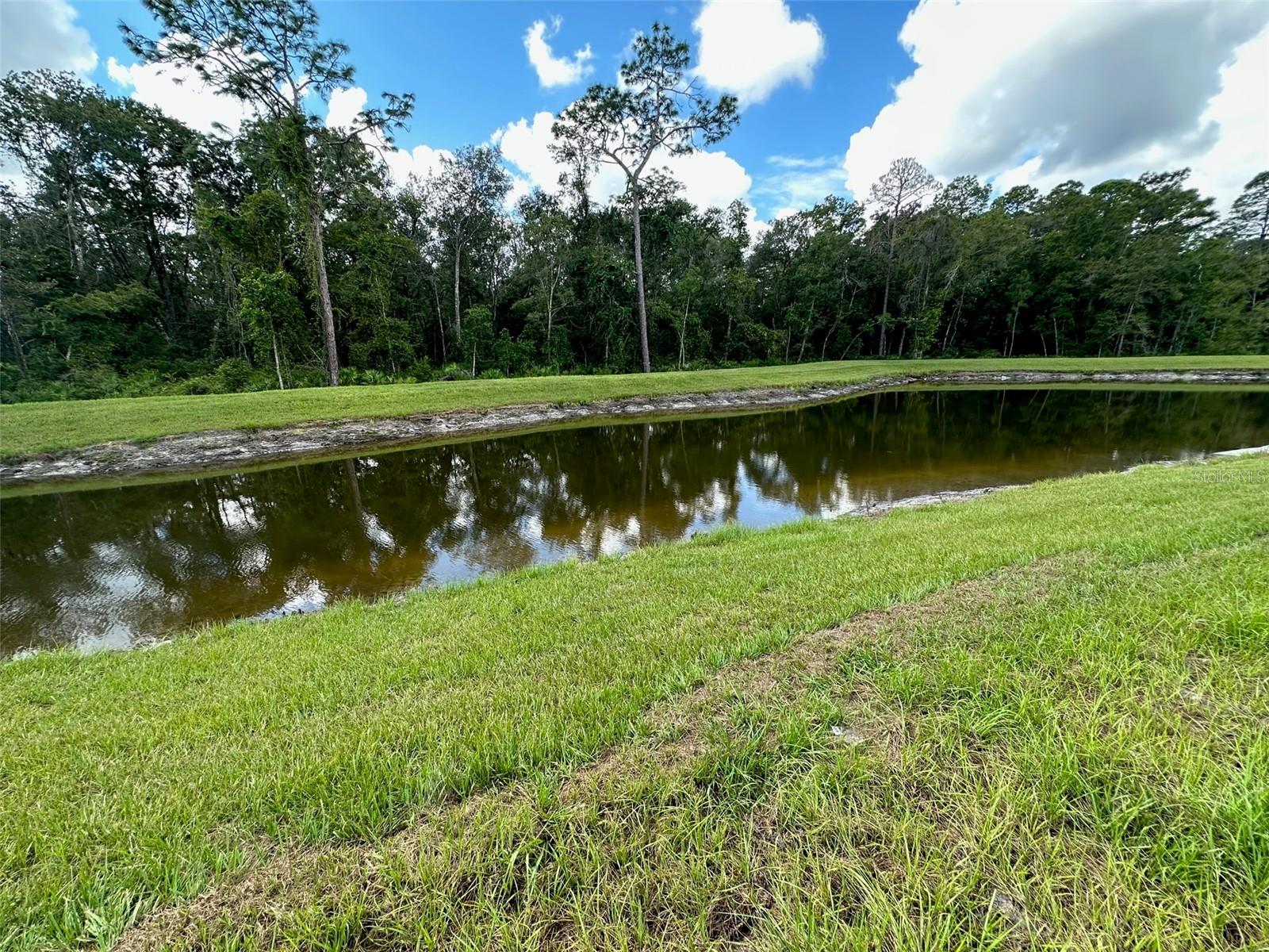 17596 NECTAR FLUME DR, LAND O LAKES, FL, 34638