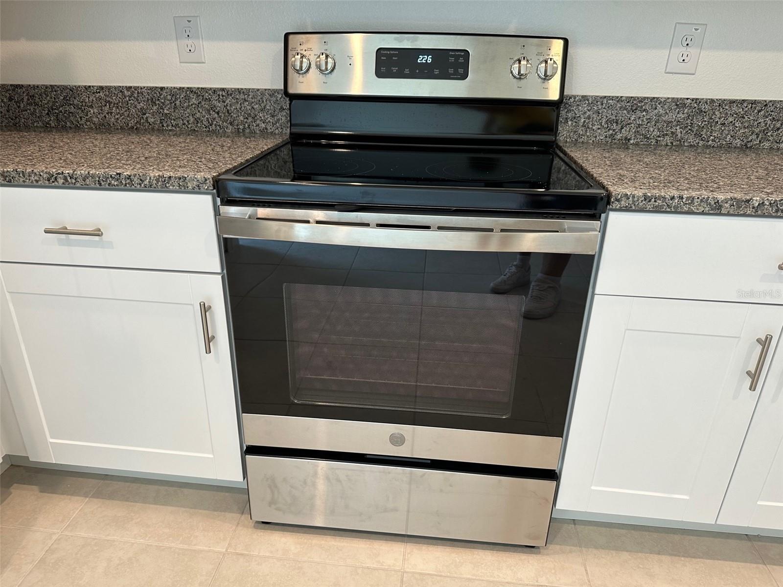 17596 NECTAR FLUME DR, LAND O LAKES, FL, 34638