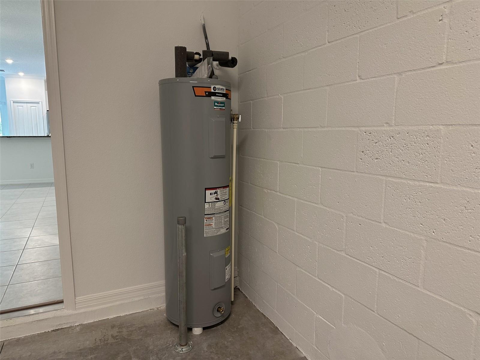 17596 NECTAR FLUME DR, LAND O LAKES, FL, 34638