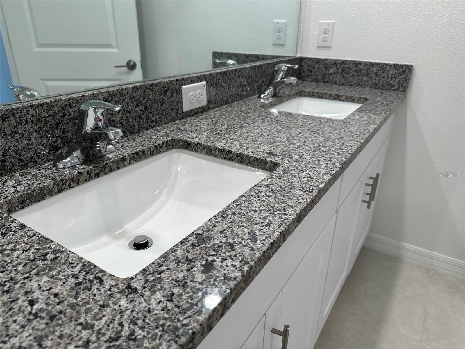 17596 NECTAR FLUME DR, LAND O LAKES, FL, 34638