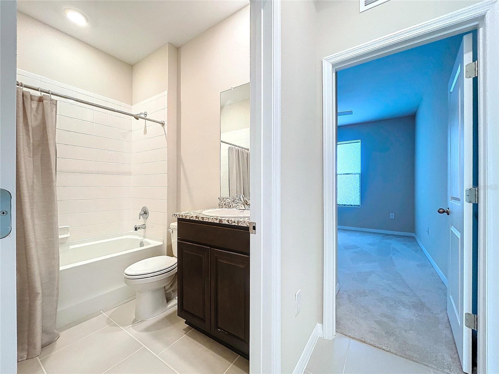 10703 BRIDGEGATE HEIGHTS LOOP, SAN ANTONIO, FL, 33576