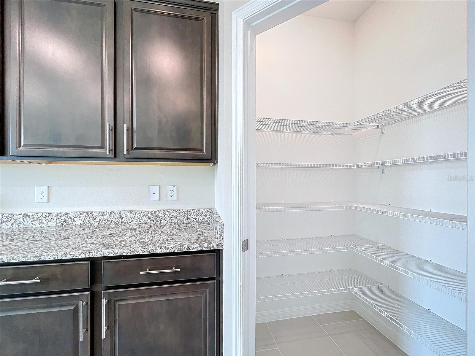 10703 BRIDGEGATE HEIGHTS LOOP, SAN ANTONIO, FL, 33576