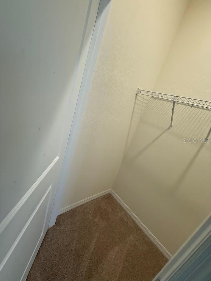 7937 WHEAT STONE DR, ZEPHYRHILLS, FL, 33540