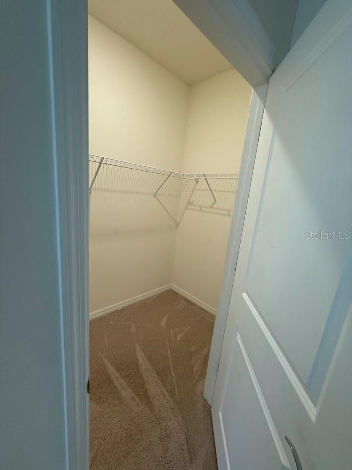 7937 WHEAT STONE DR, ZEPHYRHILLS, FL, 33540