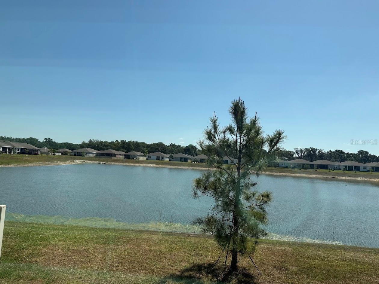 7937 WHEAT STONE DR, ZEPHYRHILLS, FL, 33540