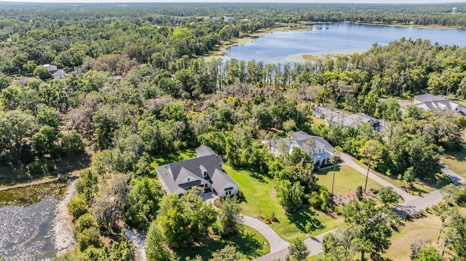 17712 ROYAL EAGLE LN, LUTZ, FL, 33549