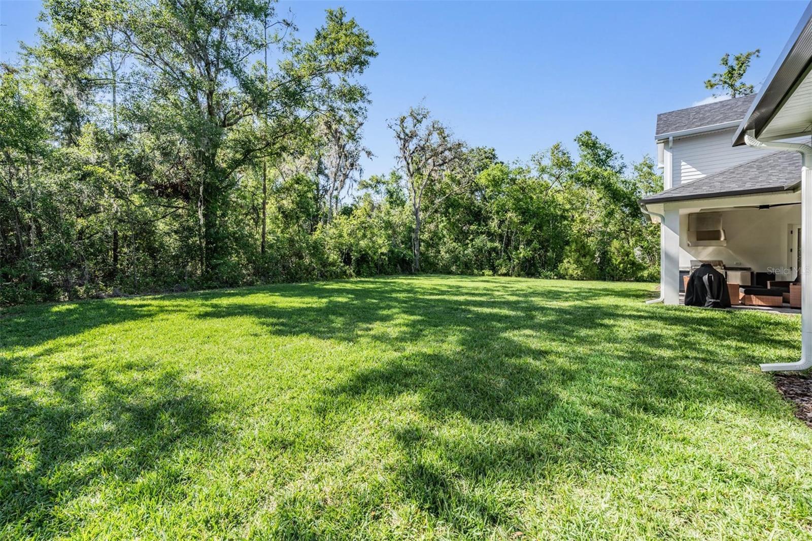 17712 ROYAL EAGLE LN, LUTZ, FL, 33549