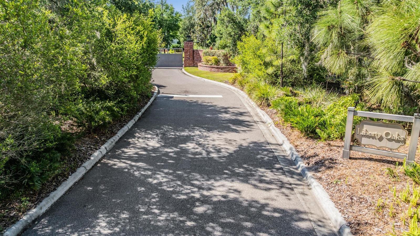 17712 ROYAL EAGLE LN, LUTZ, FL, 33549