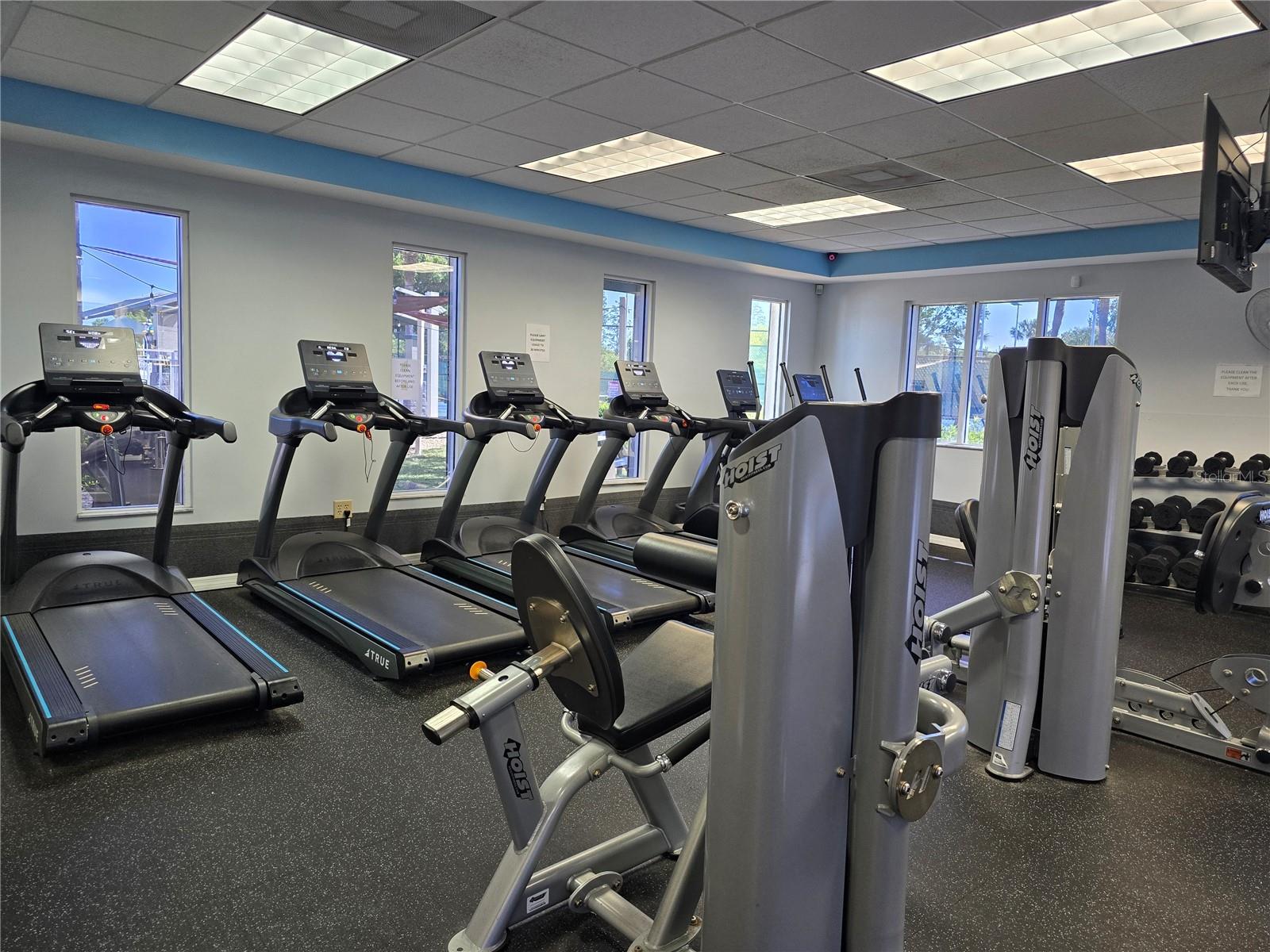 30058 GRANDA HILLS CT, WESLEY CHAPEL, FL, 33543