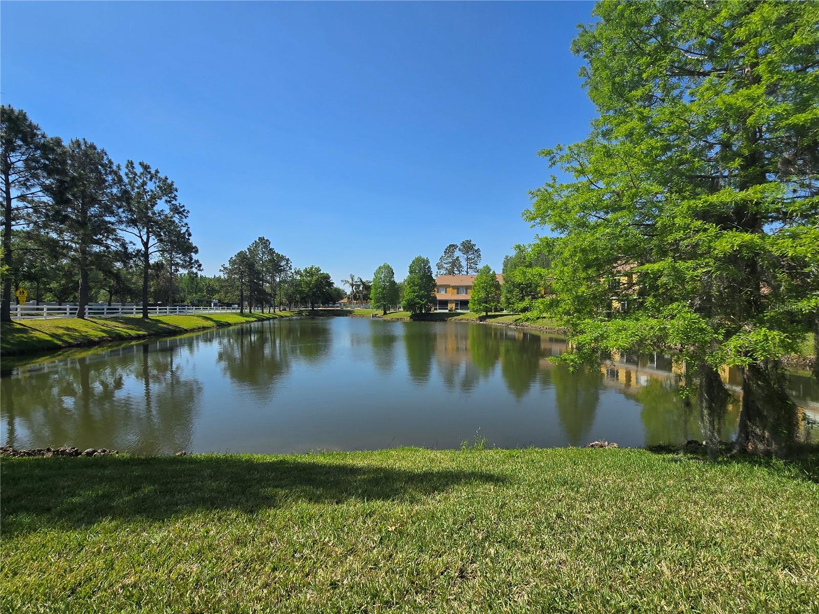 30058 GRANDA HILLS CT, WESLEY CHAPEL, FL, 33543