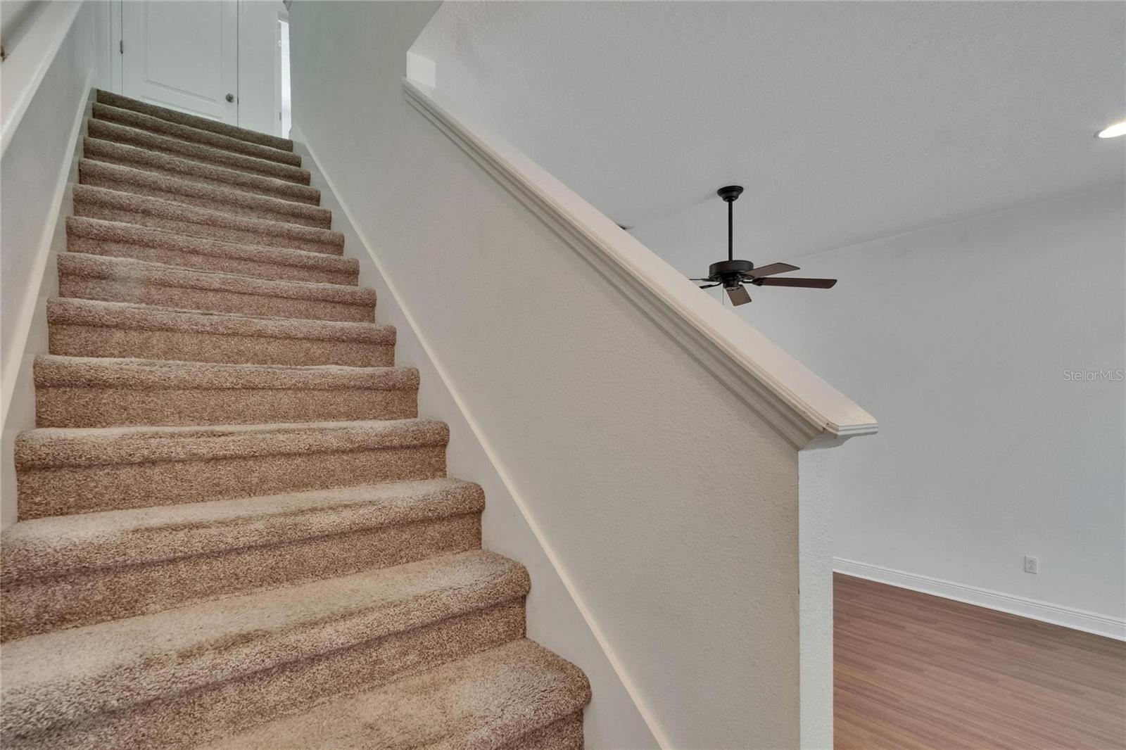 537 DELMAR TER S, ST PETERSBURG, FL, 33701