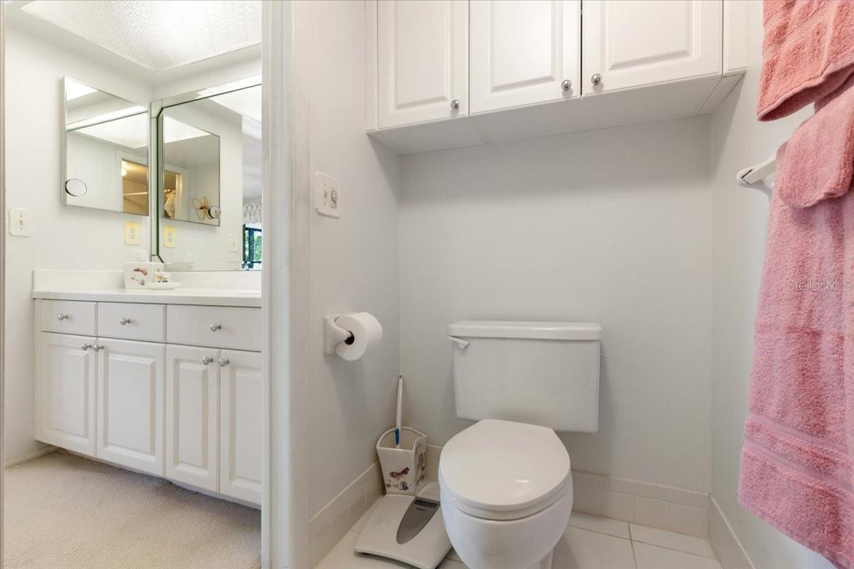 108 LAKEVIEW CT #108, OLDSMAR, FL, 34677