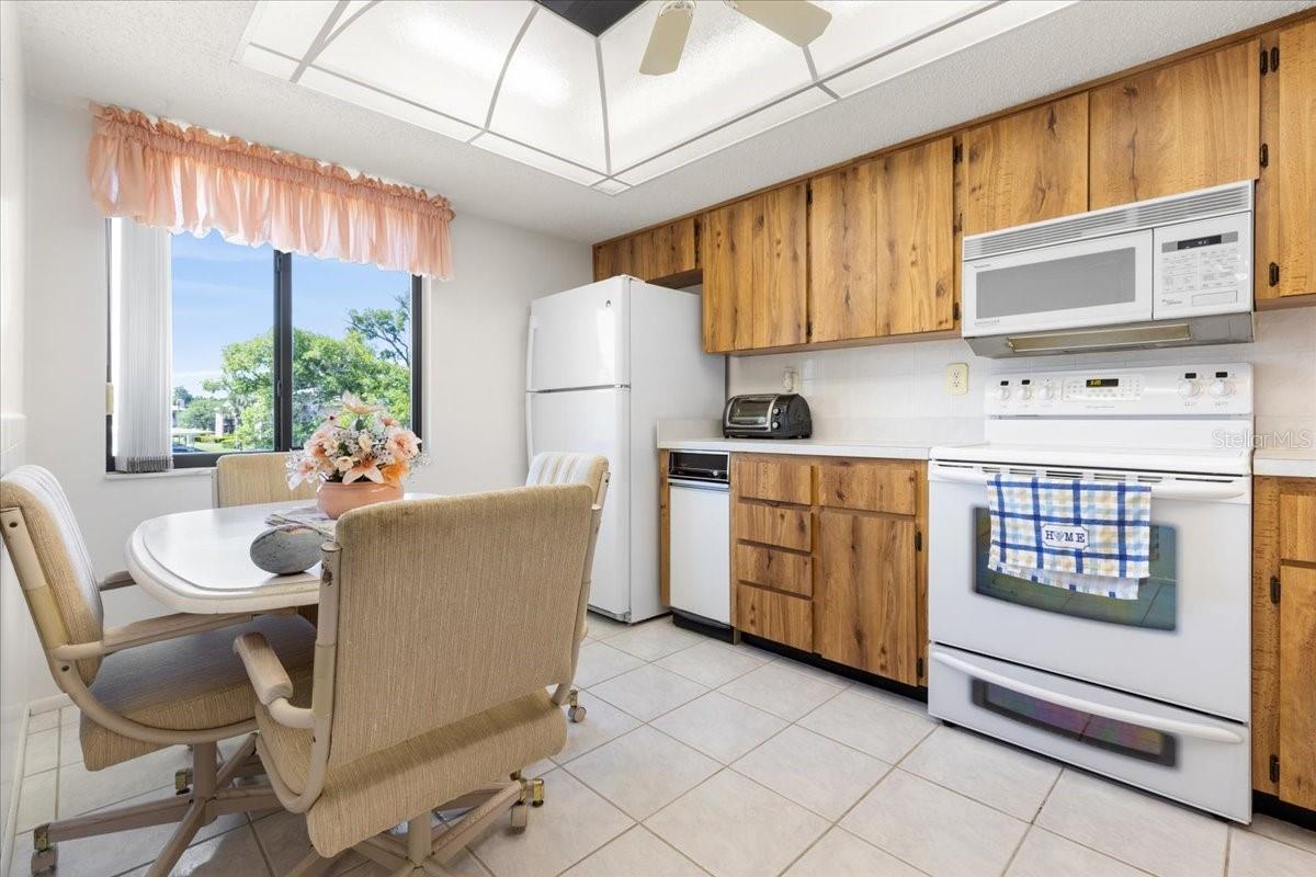 108 LAKEVIEW CT #108, OLDSMAR, FL, 34677