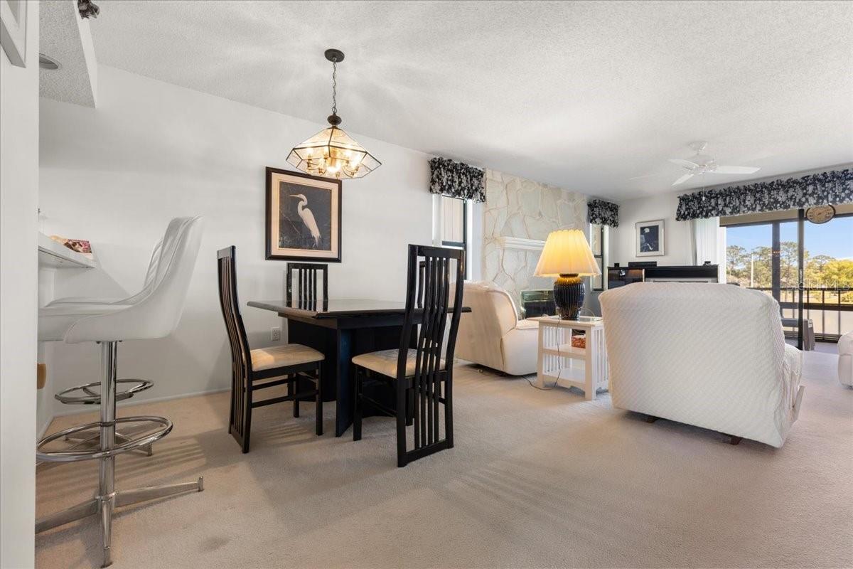 108 LAKEVIEW CT #108, OLDSMAR, FL, 34677