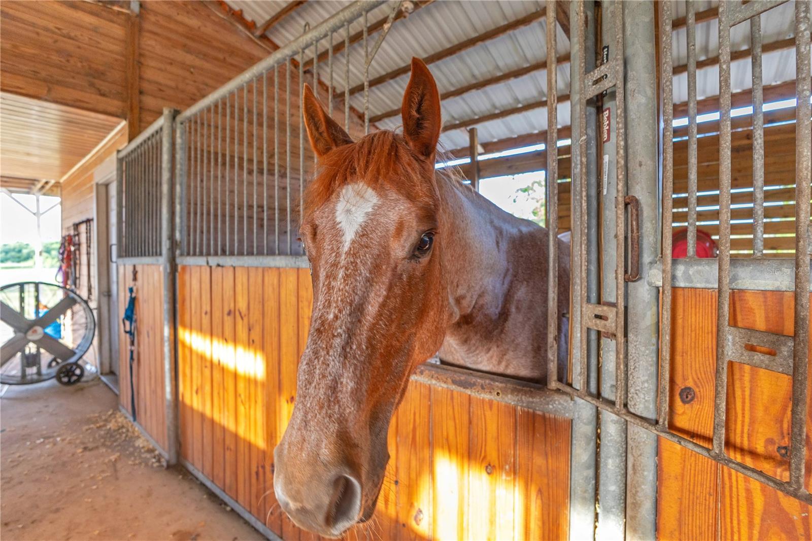 3255 TUCKER AVE, ST CLOUD, FL, 34772