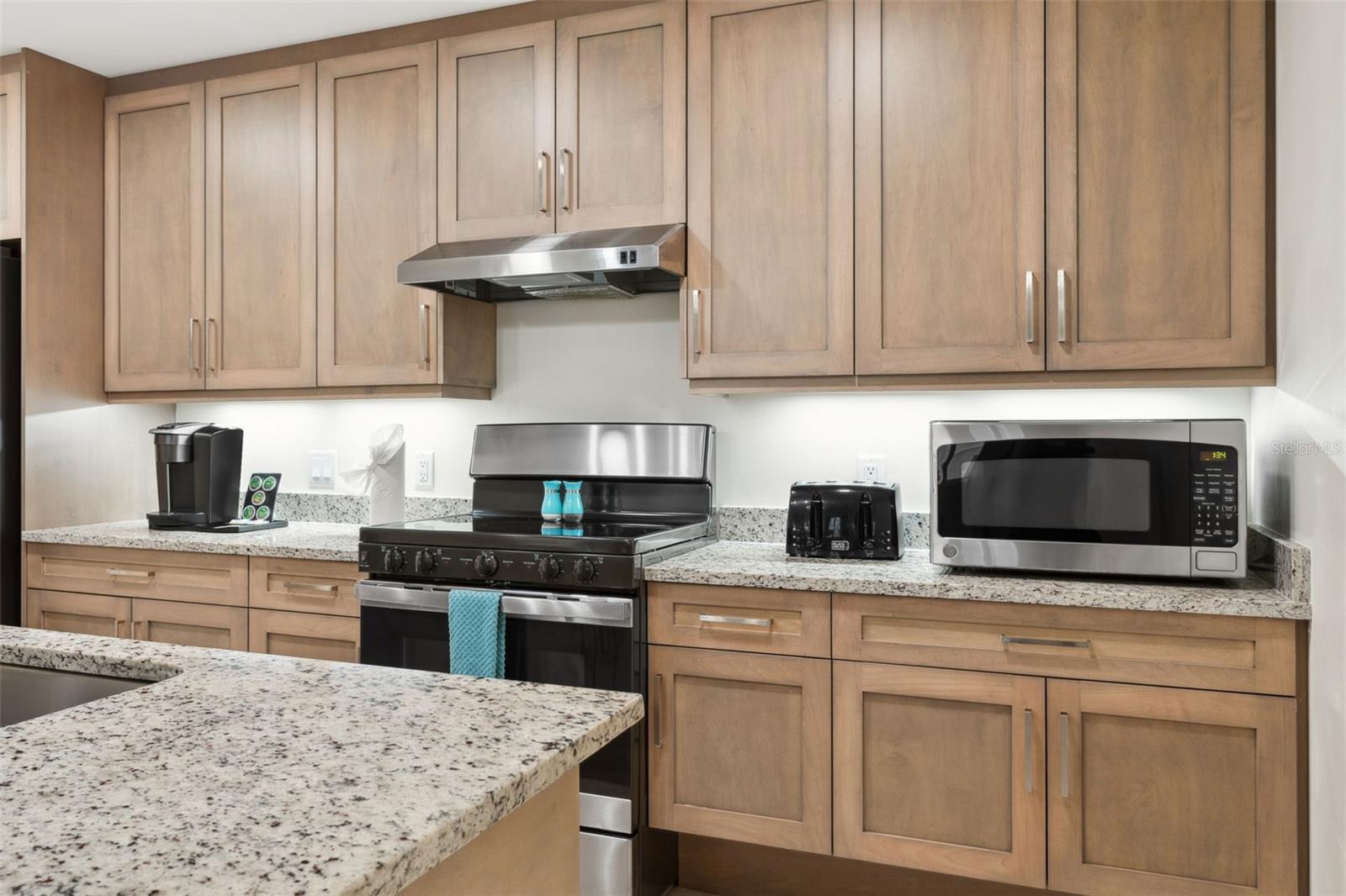 24 AVALON ST #305, CLEARWATER BEACH, FL, 33767