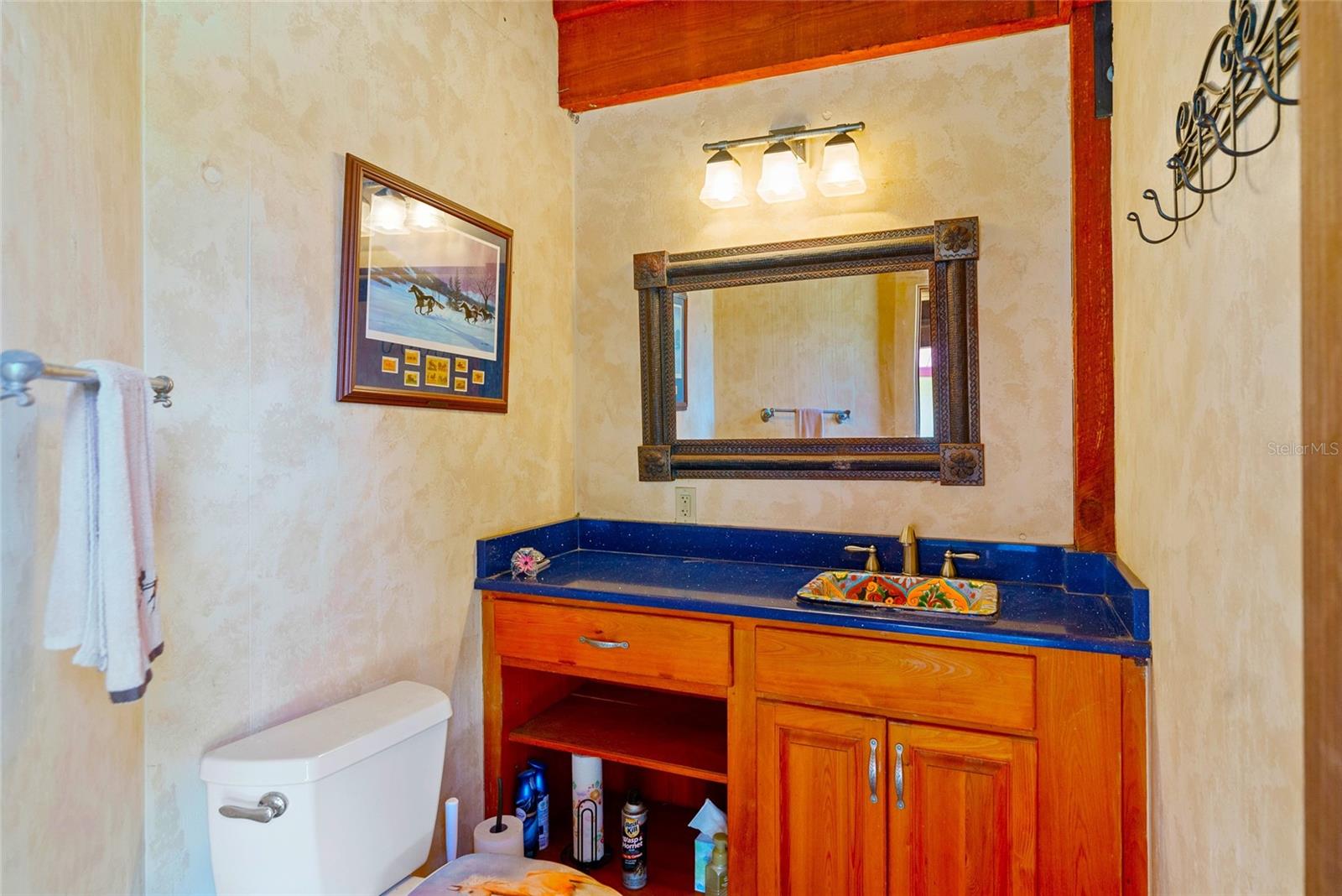 35841 TIMBERTOP LN, FRUITLAND PARK, FL, 34731