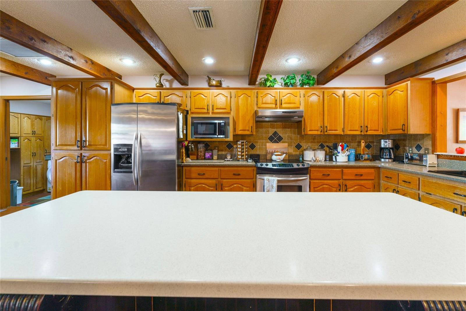 35841 TIMBERTOP LN, FRUITLAND PARK, FL, 34731