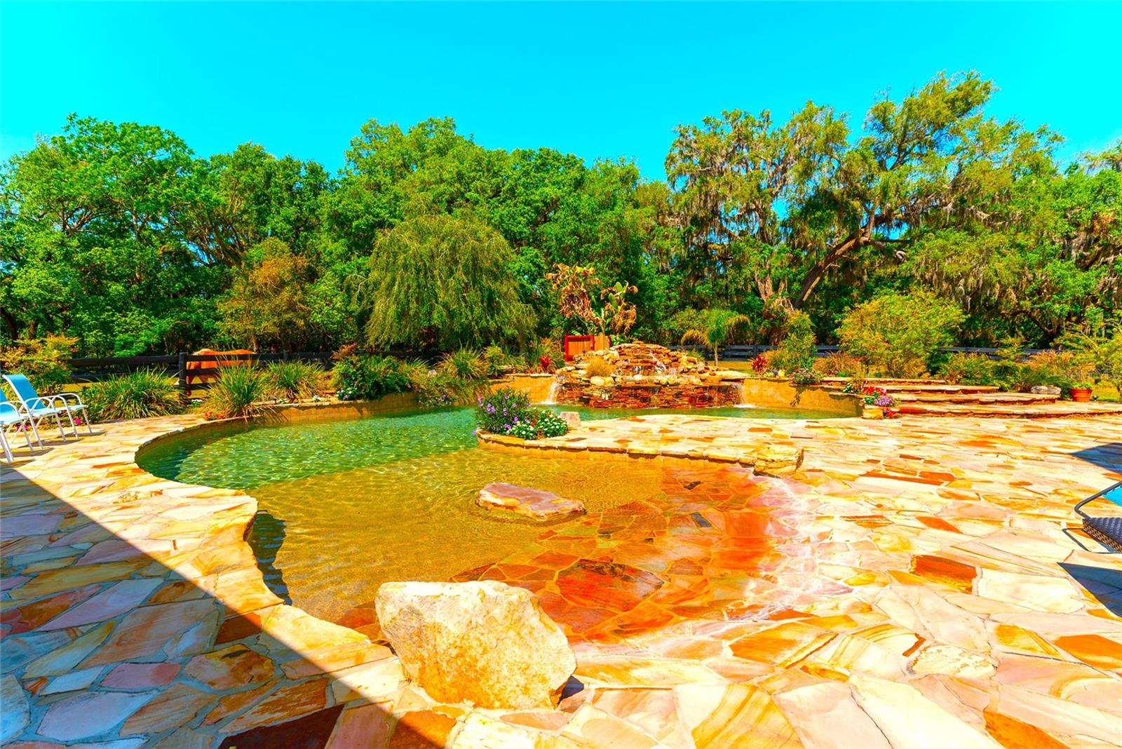 35841 TIMBERTOP LN, FRUITLAND PARK, FL, 34731