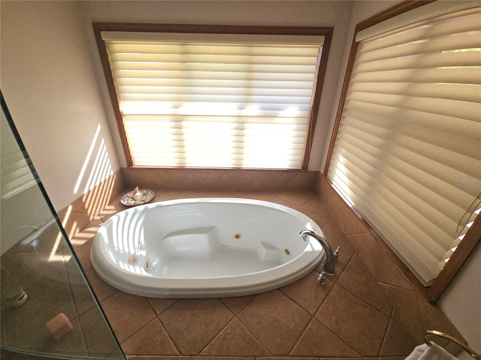 35841 TIMBERTOP LN, FRUITLAND PARK, FL, 34731