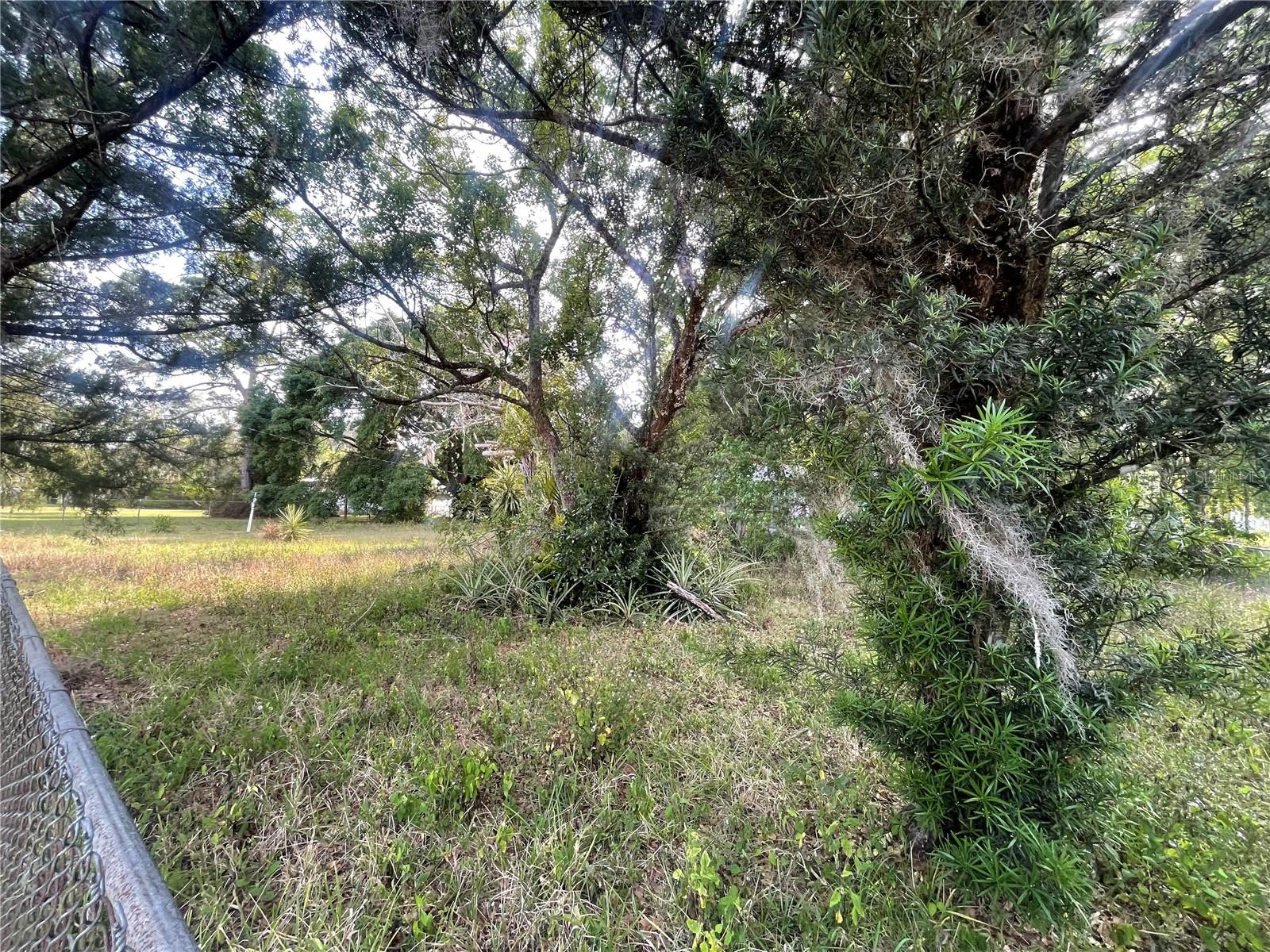 1350 SHERMAN ST, ORLANDO, FL, 32828