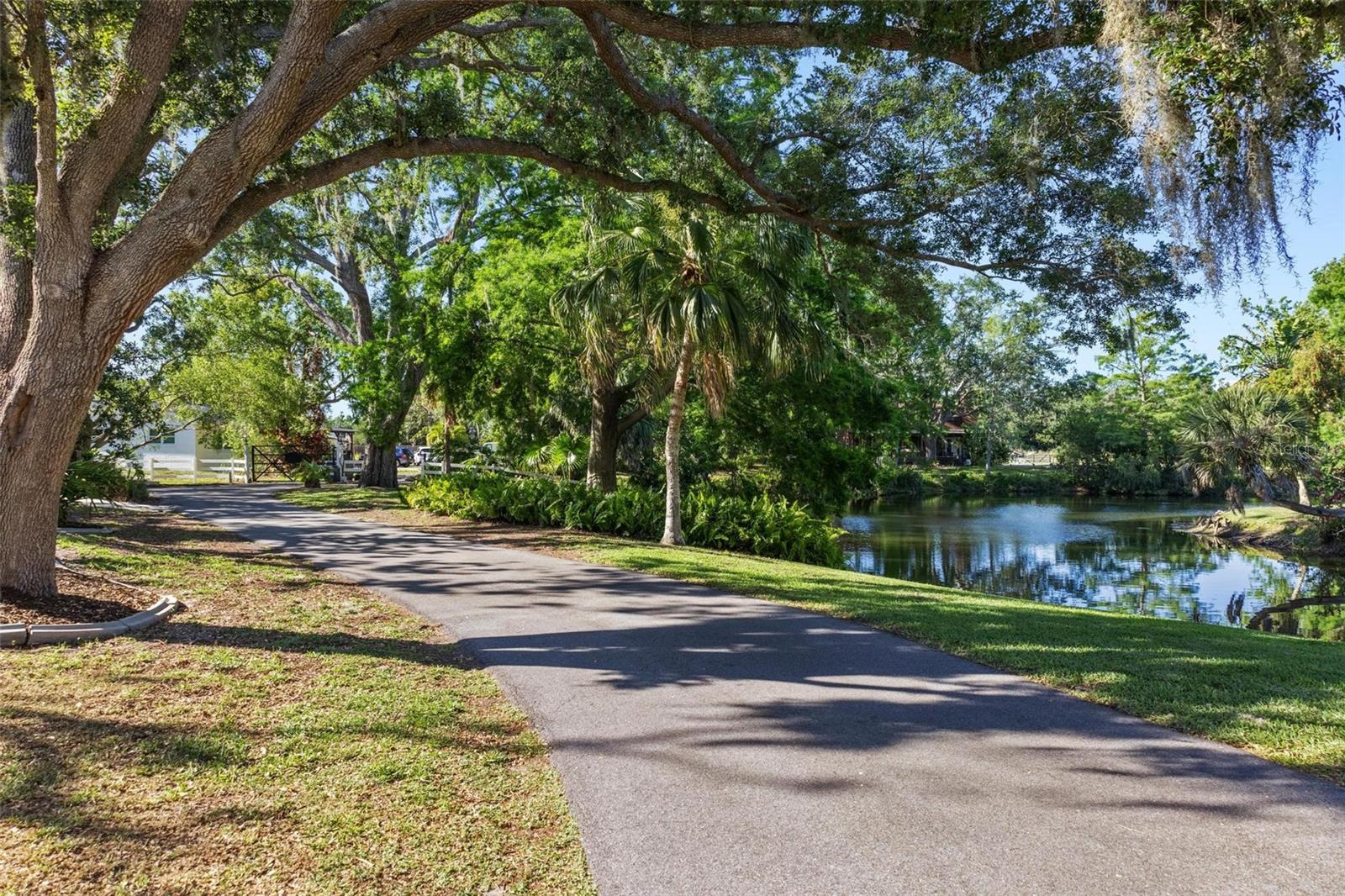 N6138508 Property Photo