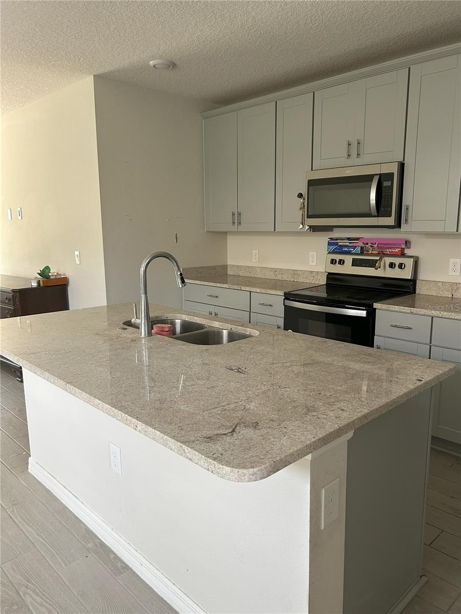 17333 CAGAN CROSSINGS BLVD, CLERMONT, FL, 34714