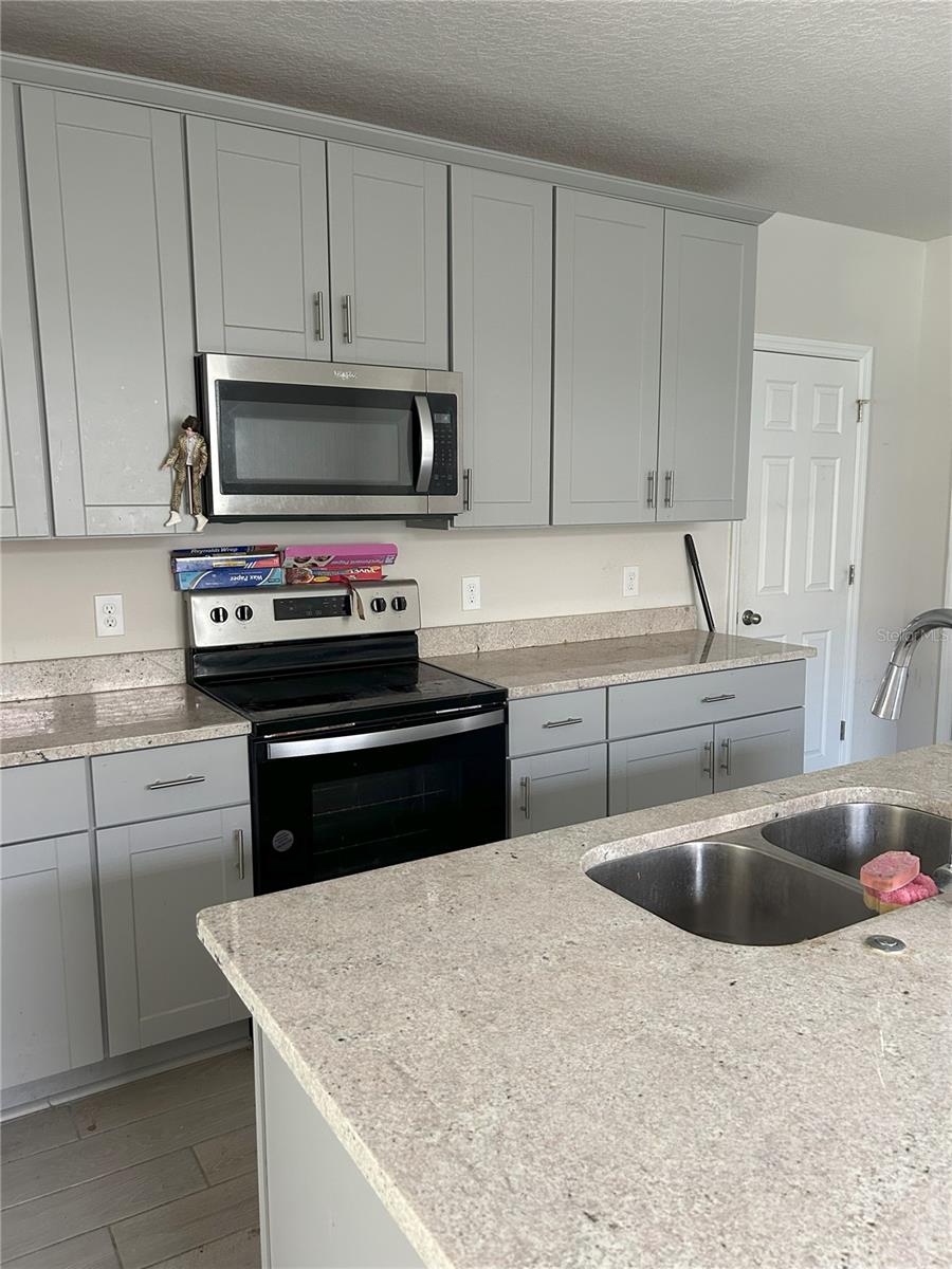 17333 CAGAN CROSSINGS BLVD, CLERMONT, FL, 34714