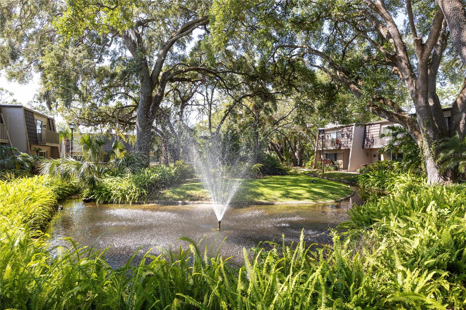 10605 CARROLLBROOK LN, TAMPA, FL, 33618