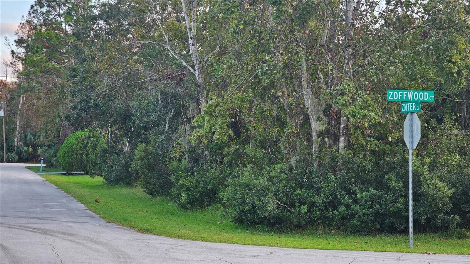 1 ZOFFWOOD CT, PALM COAST, FL, 32164