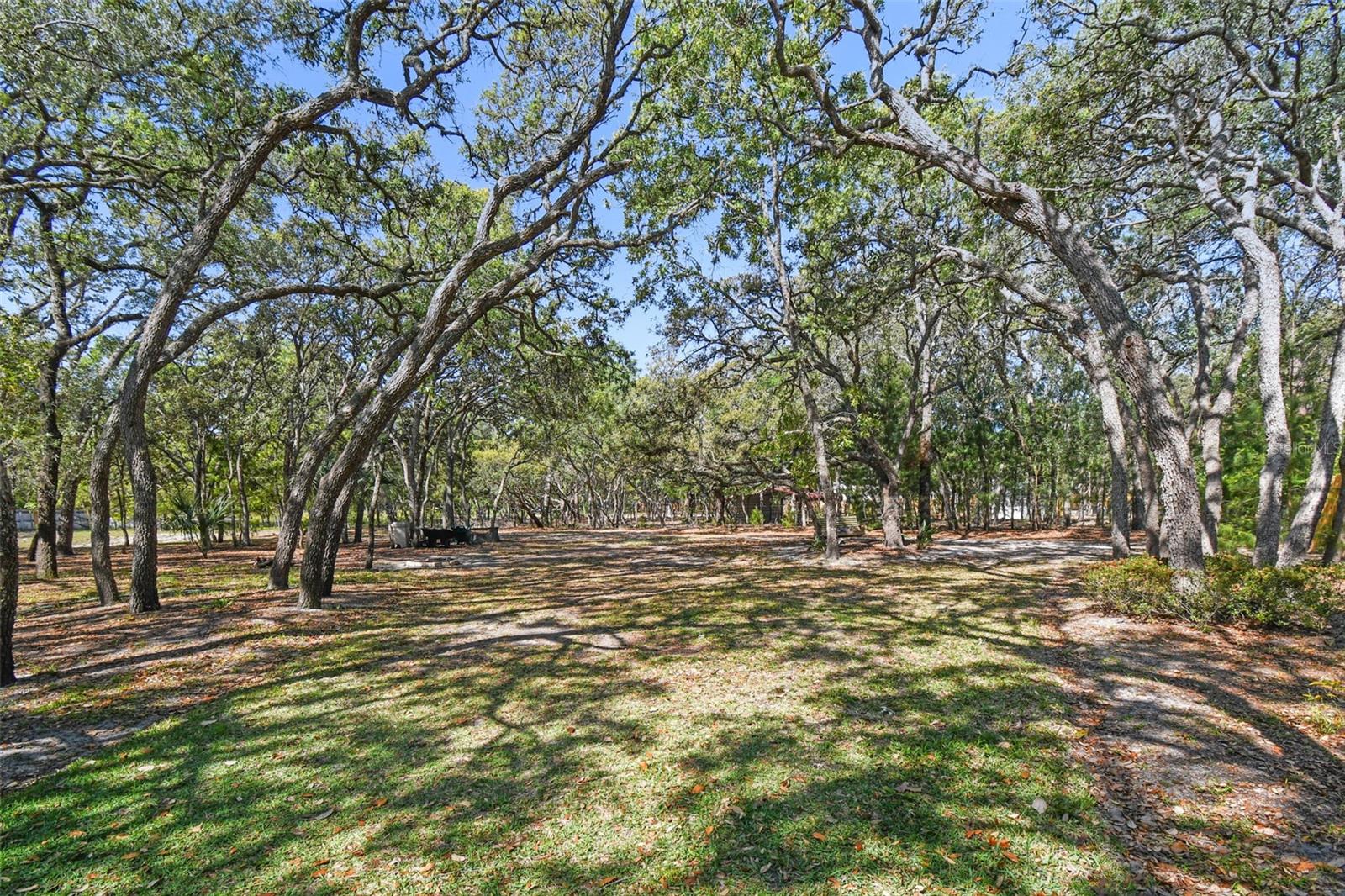 18013 OAK WAY DR, HUDSON, FL, 34667