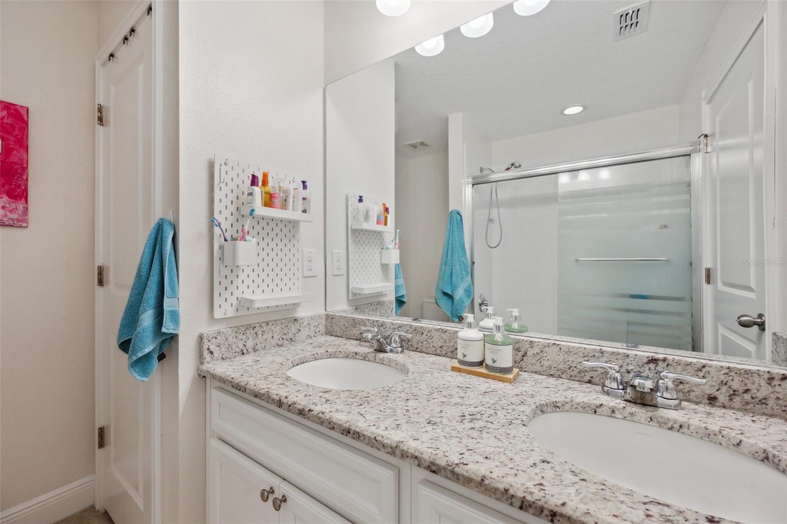 5710 GRAND SONATA AVE, LUTZ, FL, 33558