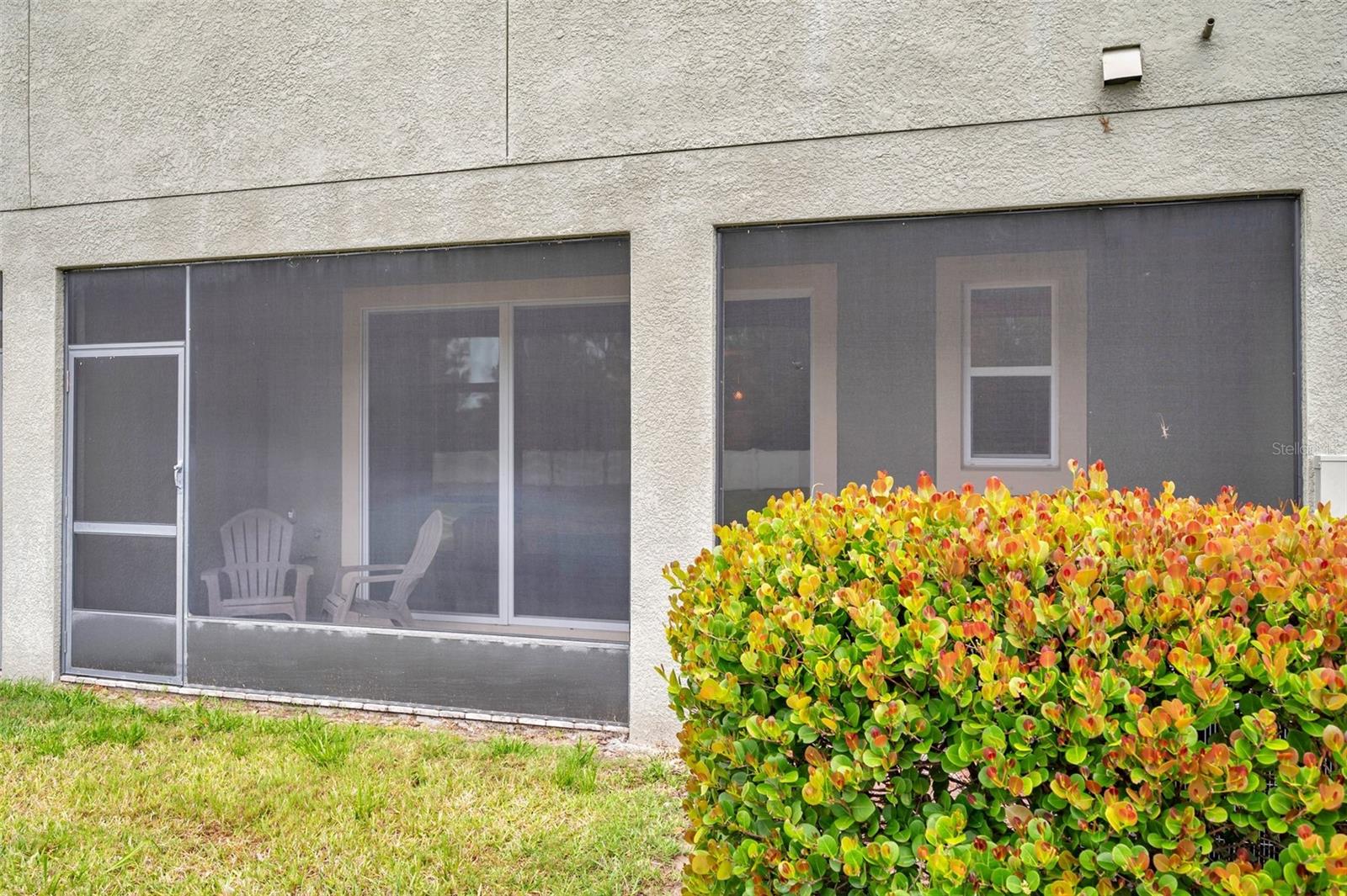 5710 GRAND SONATA AVE, LUTZ, FL, 33558