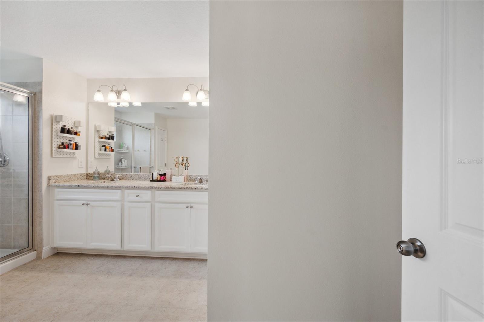 5710 GRAND SONATA AVE, LUTZ, FL, 33558