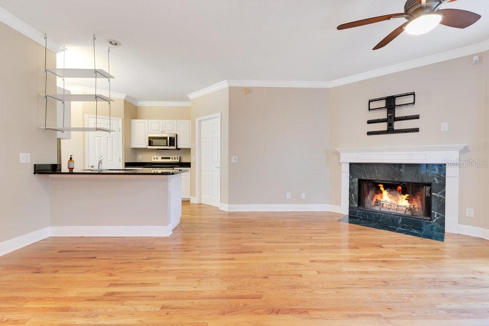 519 E HARDING ST, ORLANDO, FL, 32806