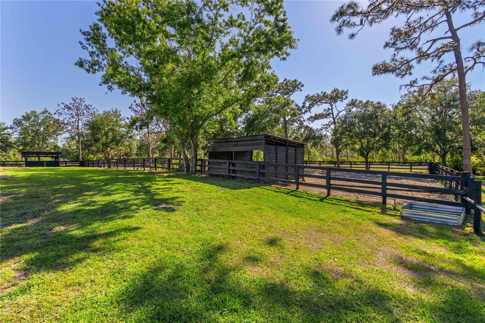 25305 83RD AVE E, MYAKKA CITY, FL, 34251