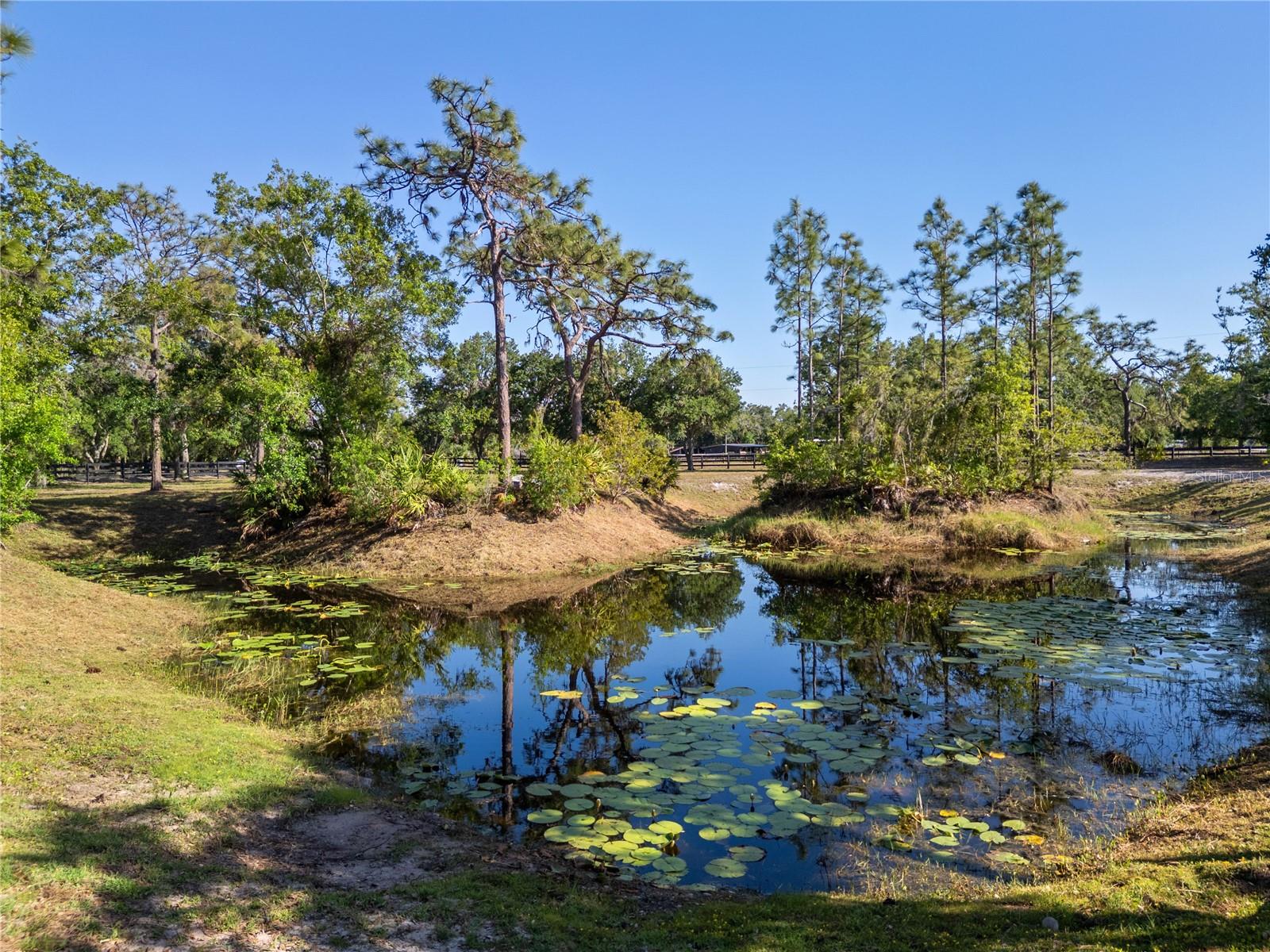 25305 83RD AVE E, MYAKKA CITY, FL, 34251