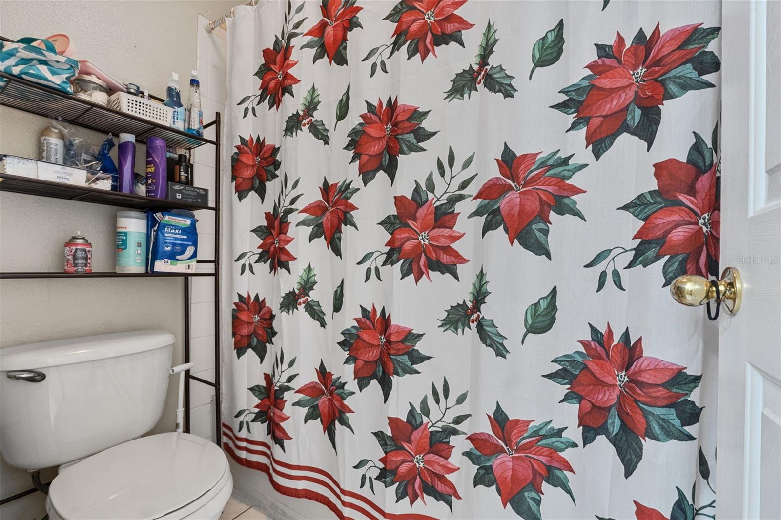 524 NOGALES, KISSIMMEE, FL, 34758