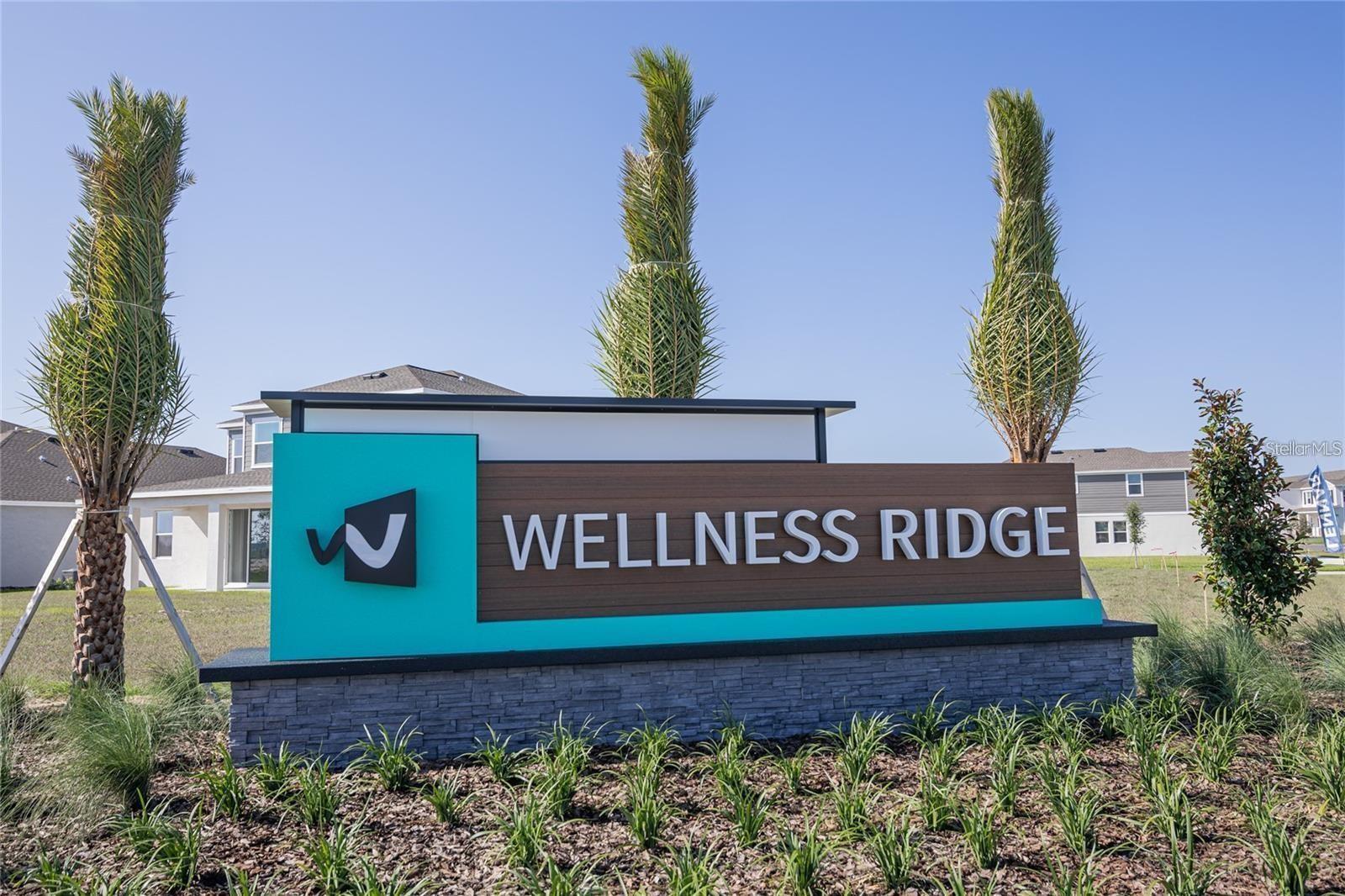 6099 PEACEFUL PARK WAY, CLERMONT, FL, 34714