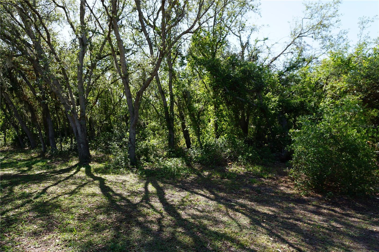 29211 PICADOR ST, PUNTA GORDA, FL, 33982