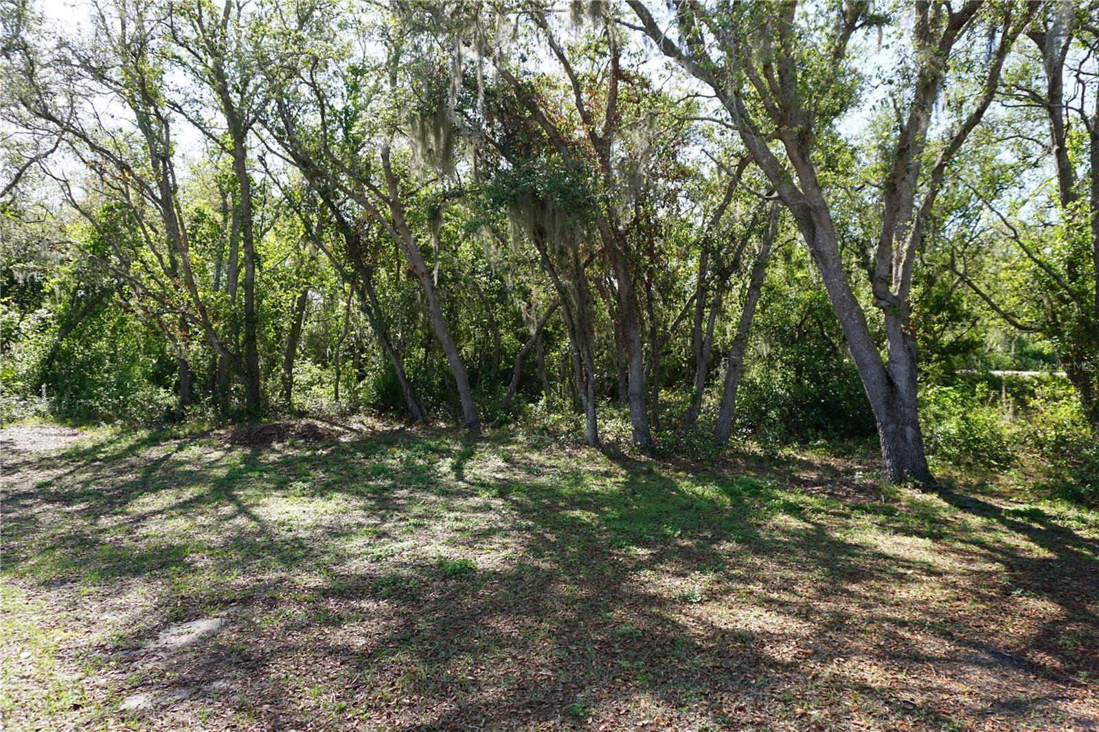 29211 PICADOR ST, PUNTA GORDA, FL, 33982