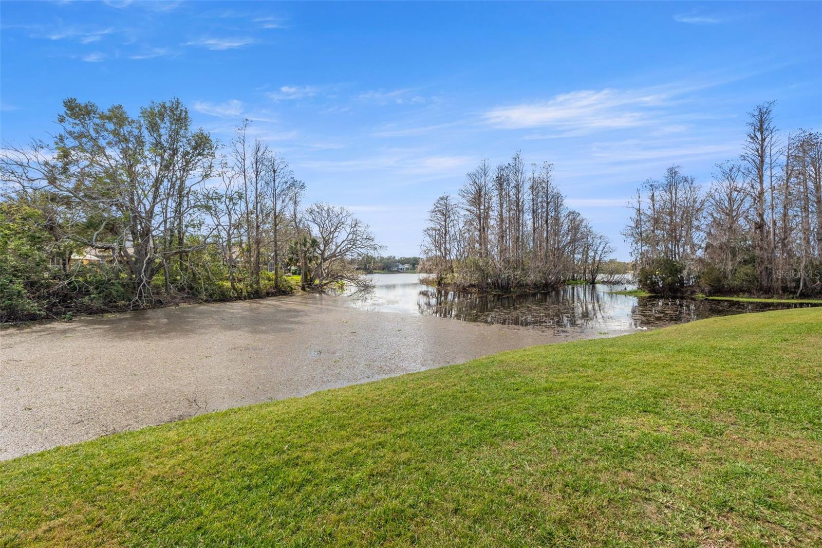 16512 BRIGADOON DR, TAMPA, FL, 33618